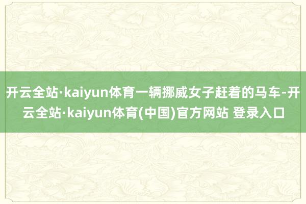 开云全站·kaiyun体育一辆挪威女子赶着的马车-开云全站·kaiyun体育(中国)官方网站 登录入口
