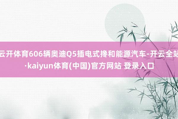 云开体育606辆奥迪Q5插电式搀和能源汽车-开云全站·kaiyun体育(中国)官方网站 登录入口
