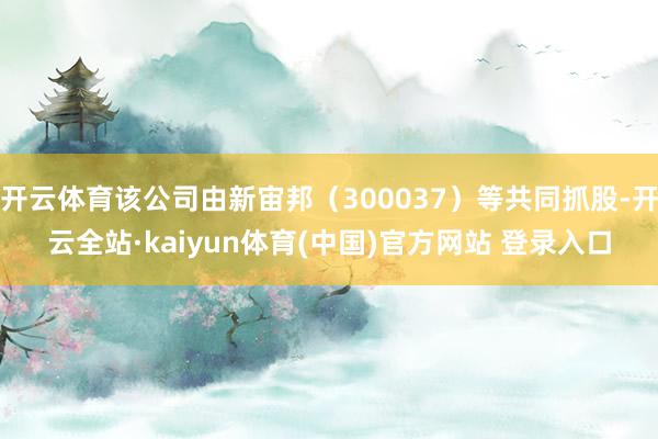 开云体育该公司由新宙邦（300037）等共同抓股-开云全站·kaiyun体育(中国)官方网站 登录入口